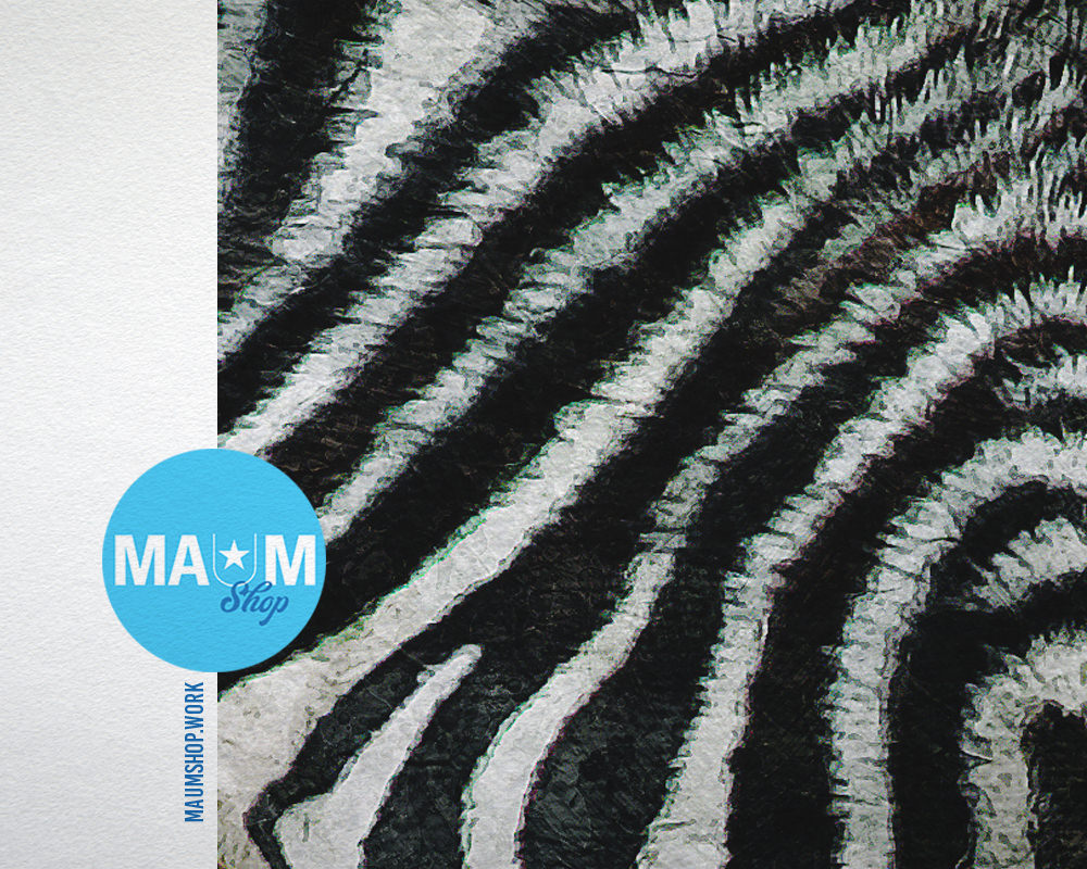 Zebra Animal Painting Print Framed Art Home Wall Decor Gifts