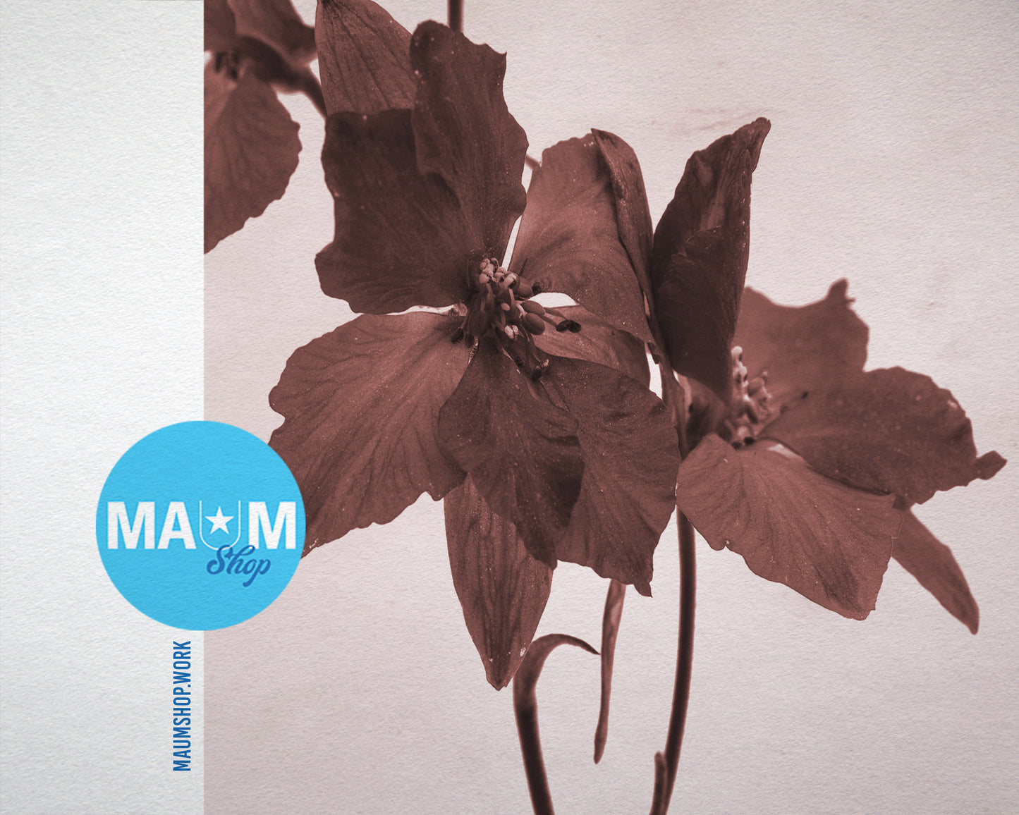 Lilac Sepia Plants Art Wood Framed Print Wall Decor Gifts