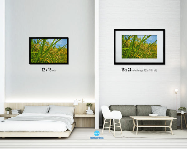 Nutritious Nature Rice Paddy Field Landscape Artwork Framed Painting Print Art Wall Decor Gifts