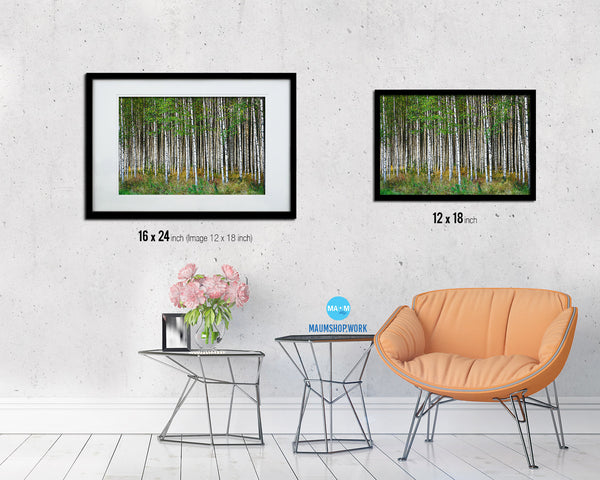 Birch Grove Trees Spring Landscape Painting Print Art Frame Home Wall Decor Gifts