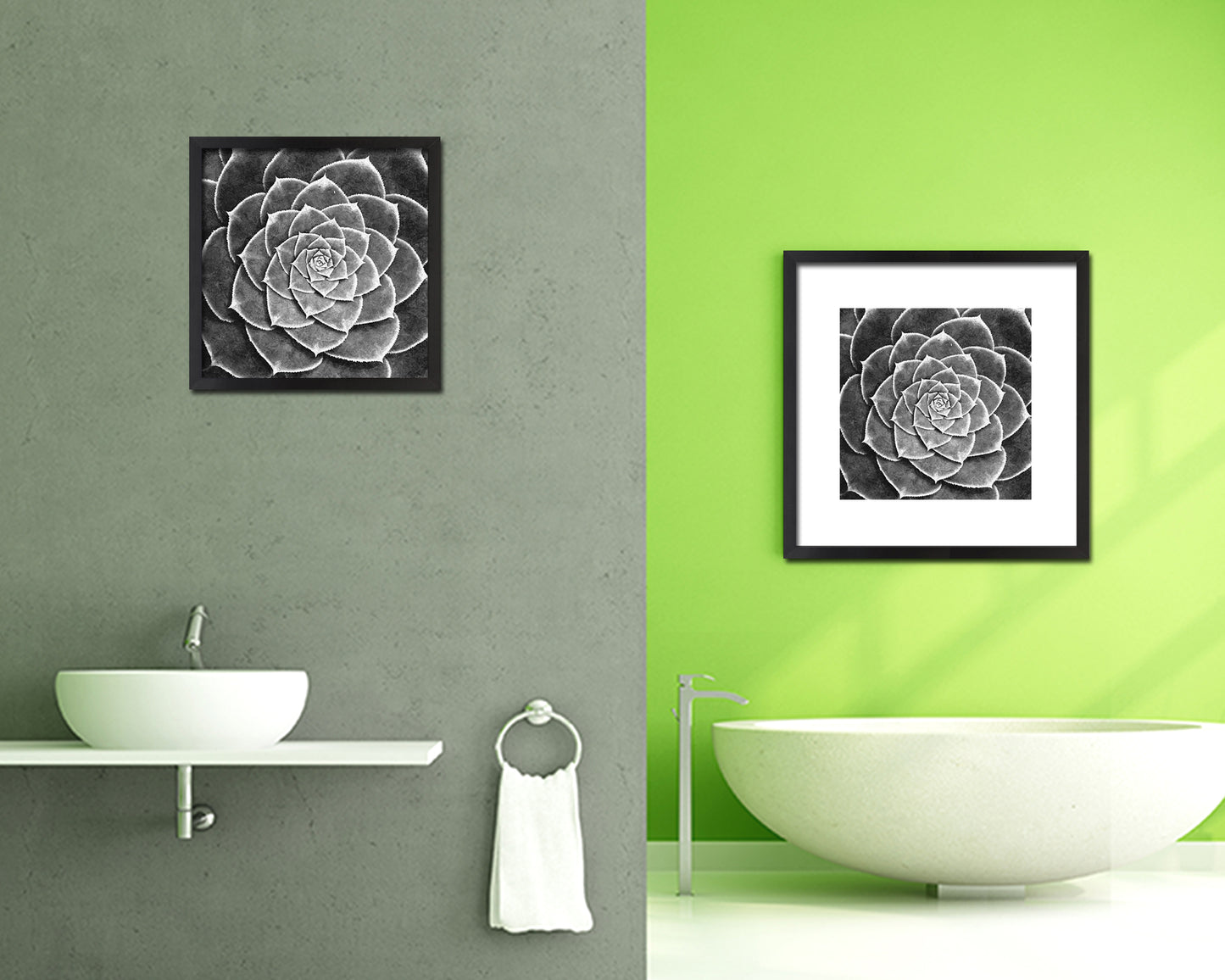 Cactus Plant Succulents B &W Leaves Spiral Plant Wood Framed Print Decor Wall Art Gifts