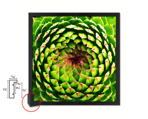 Opening Thistle Evergreen Succulent Leaves Spiral Plant Wood Framed Print Decor Wall Art Gifts
