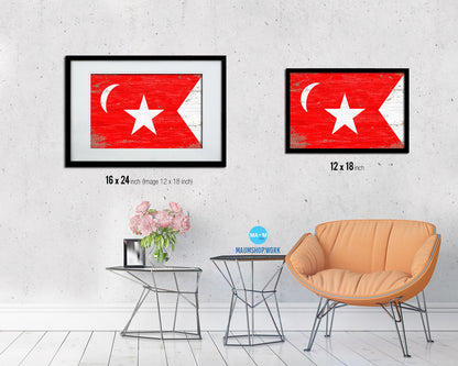 South Carolina Secession US Historical Civil War Shabby Chic Military Flag Framed Print Art