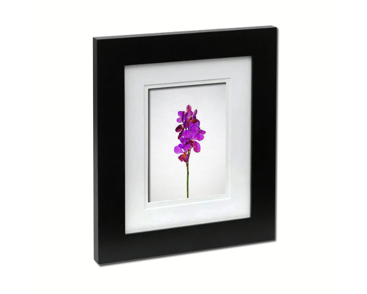 Violet Orchid Sketch Plants Art Wood Framed Print Wall Decor Gifts