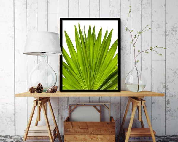 Green Palm Tropical Leaf Framed Print Sign Decor Wall Art Gifts