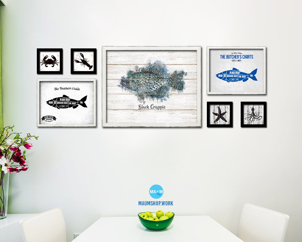 Black Crappie Fish Framed Prints Modern Restaurant Sushi Bar Watercolor Wall Art Decor