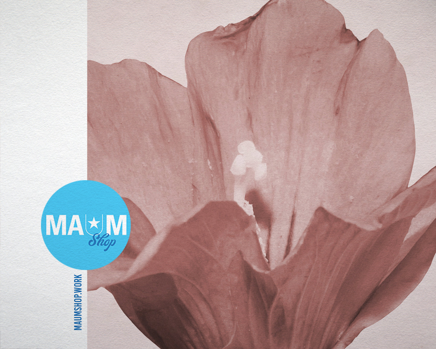 Mauve Hibiscus Rosa Sepia Plants Art Wood Framed Print Wall Decor Gifts