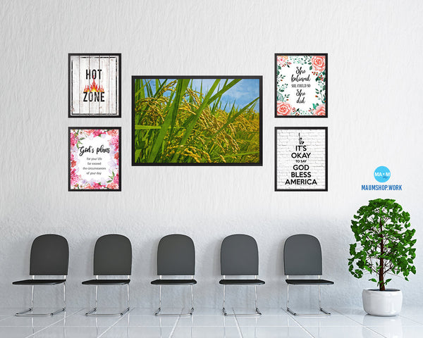 Nutritious Nature Rice Paddy Field Landscape Artwork Framed Painting Print Art Wall Decor Gifts