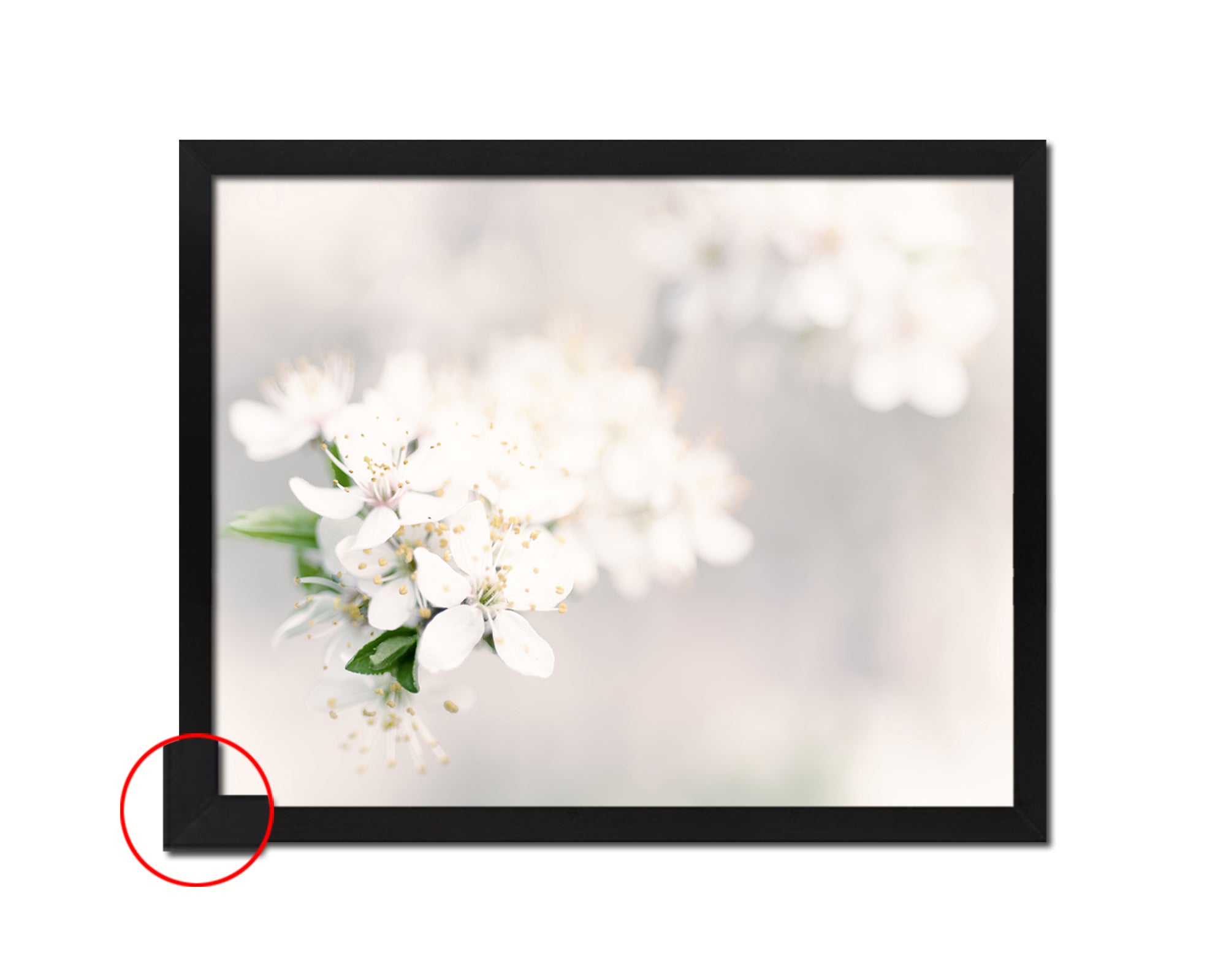 Cherry Blossoms White Flower Wood Framed Paper Print Wall Decor Art Gifts