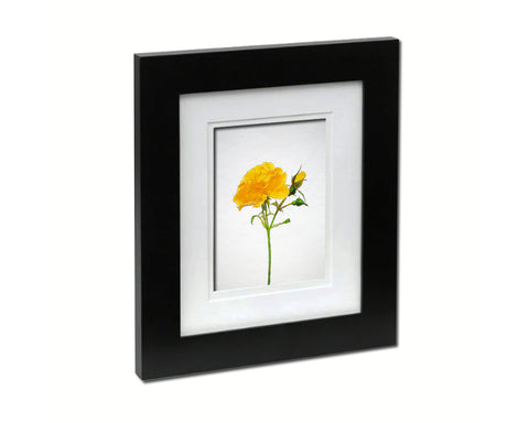 Yellow Rose Sketch Plants Art Wood Framed Print Wall Decor Gifts