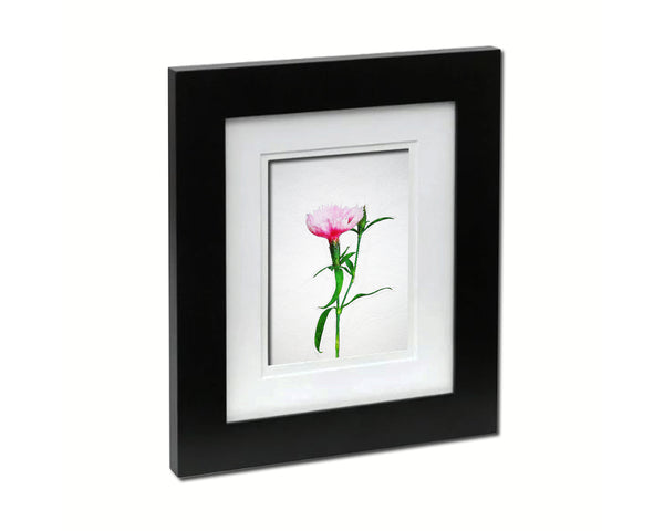 Carnation Sketch Plants Art Wood Framed Print Wall Decor Gifts