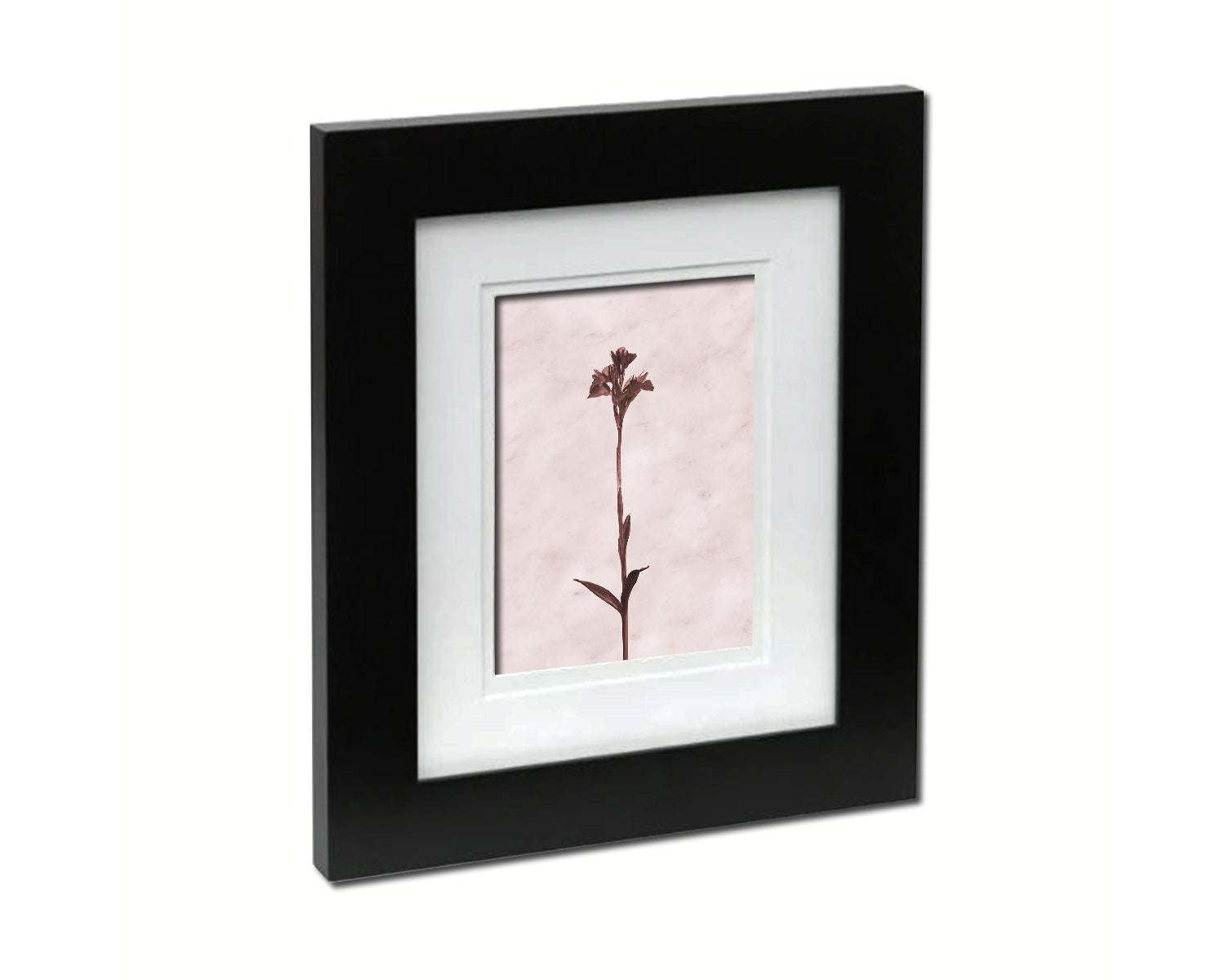 Butterfly Orchid Sepia Plants Art Wood Framed Print Wall Decor Gifts