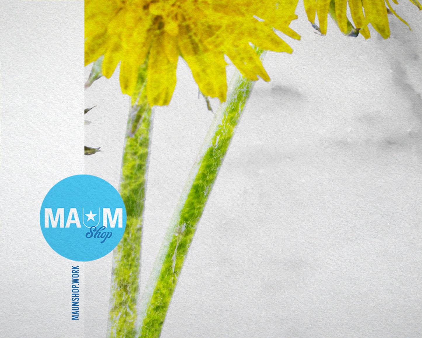 Dandelion Marble Texture Plants Art Wood Framed Print Wall Decor Gifts