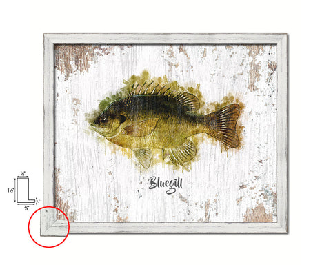 Bluegill Fish Framed Prints Modern Restaurant Sushi Bar Watercolor Wall Art Decor