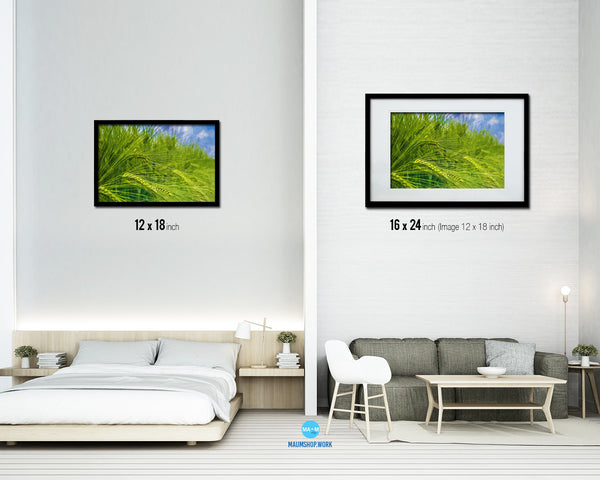 Nutritious Nature Barley Paddy Field Landscape Artwork Framed Painting Print Art Wall Decor Gifts