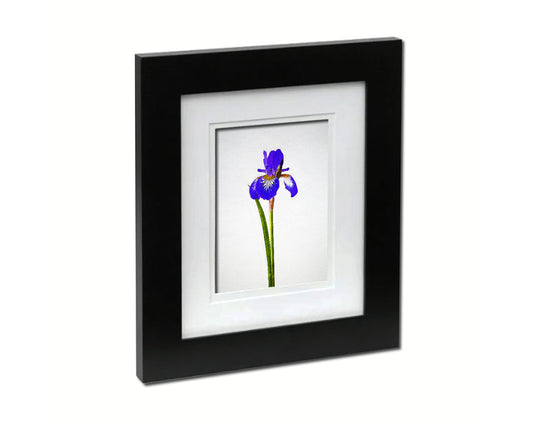 Iris Sketch Plants Art Wood Framed Print Wall Decor Gifts