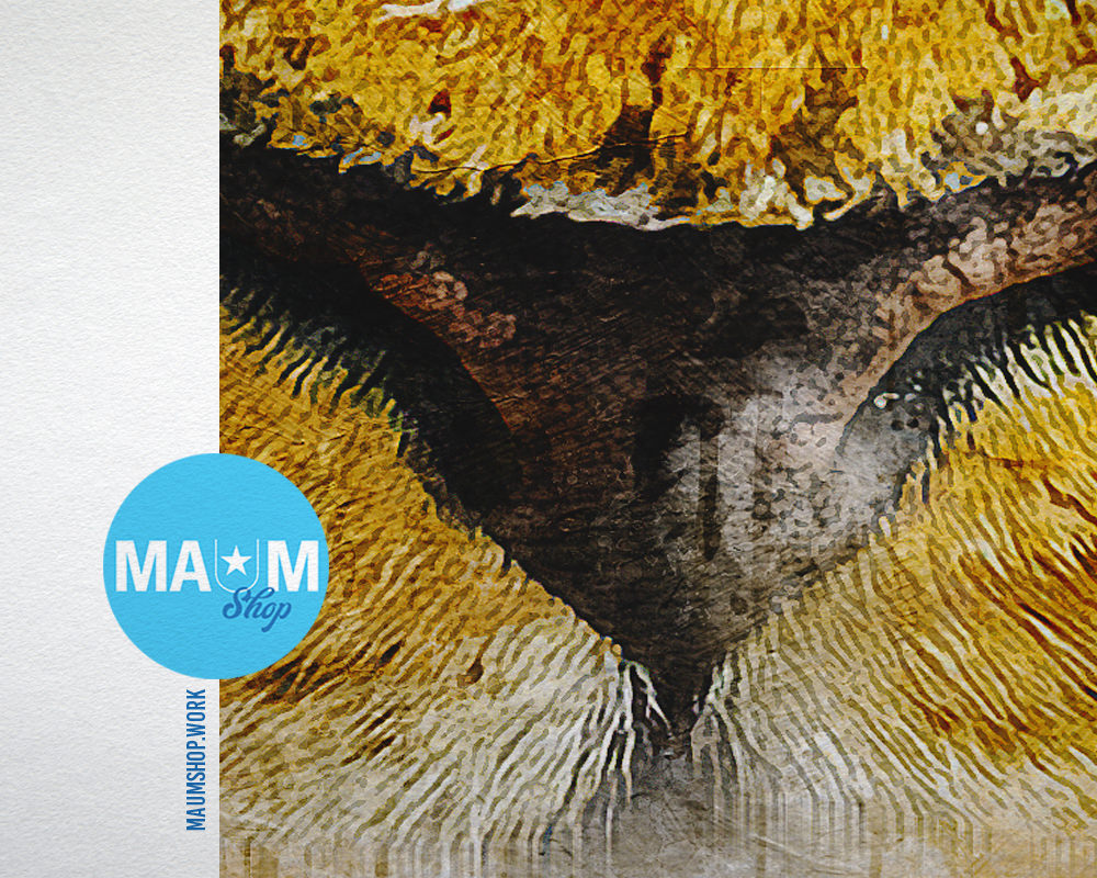 Leopard Animal Painting Print Framed Art Home Wall Decor Gifts