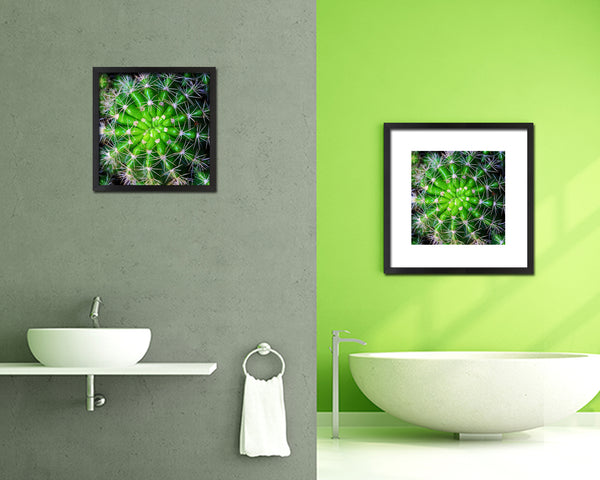 Barrel Cactus Evergreen Succulent Leaves Spiral Plant Wood Framed Print Decor Wall Art Gifts