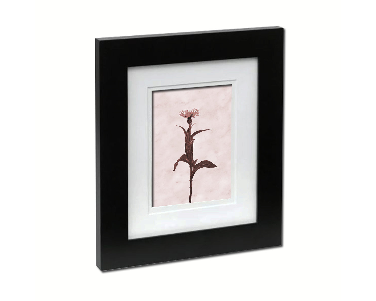 Cornflower Sepia Plants Art Wood Framed Print Wall Decor Gifts