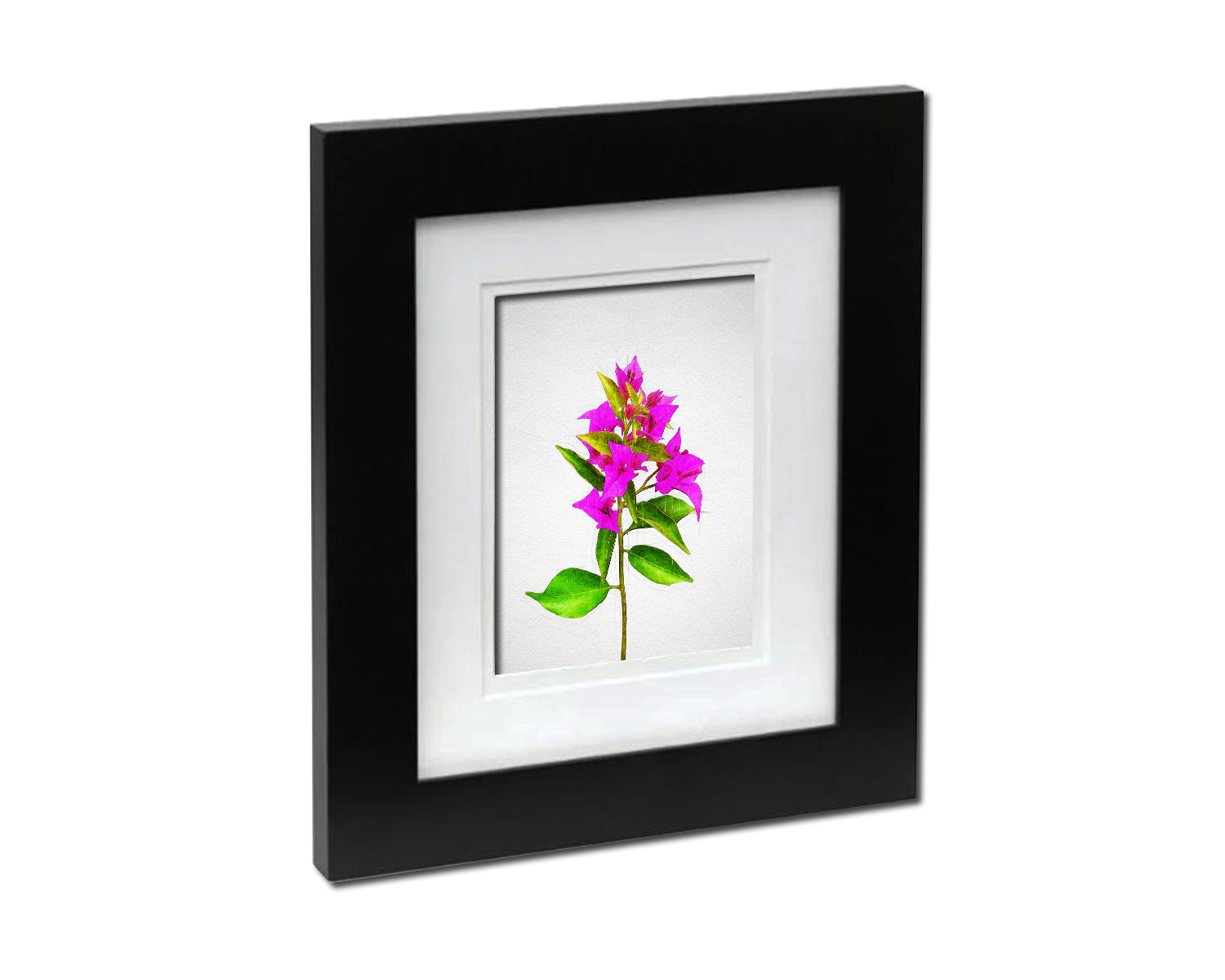 Bougainvillea Glabra Spectabilis Sketch Plants Art Wood Framed Print Wall Decor Gifts