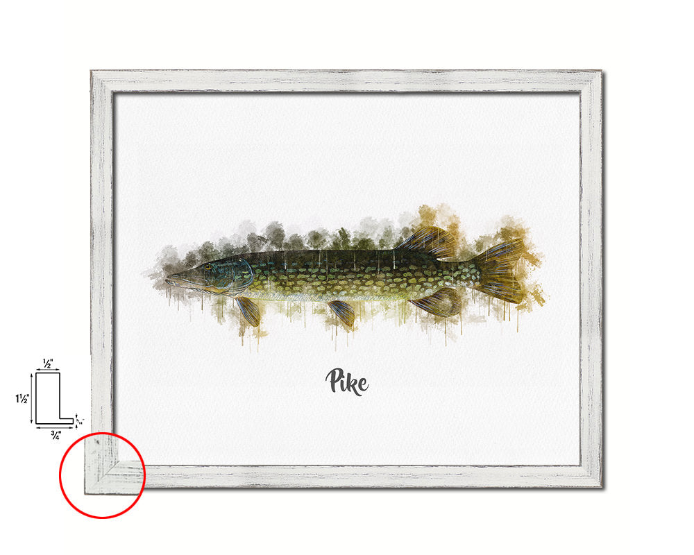 Pike Fish Framed Prints Modern Restaurant Sushi Bar Watercolor Wall Art Decor