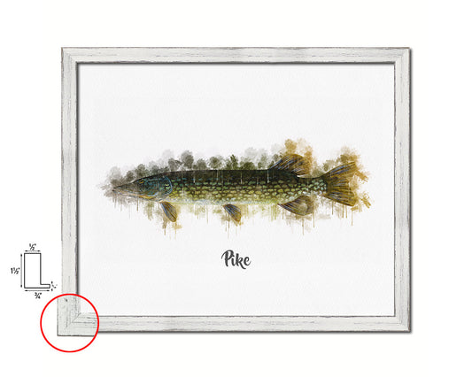 Pike Fish Framed Prints Modern Restaurant Sushi Bar Watercolor Wall Art Decor