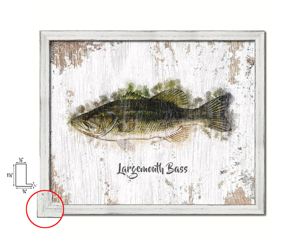 Largemouth Bass Fish Framed Prints Modern Restaurant Sushi Bar Watercolor Wall Art Decor
