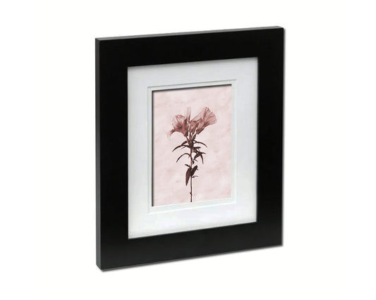 Godetia Sepia Plants Art Wood Framed Print Wall Decor Gifts