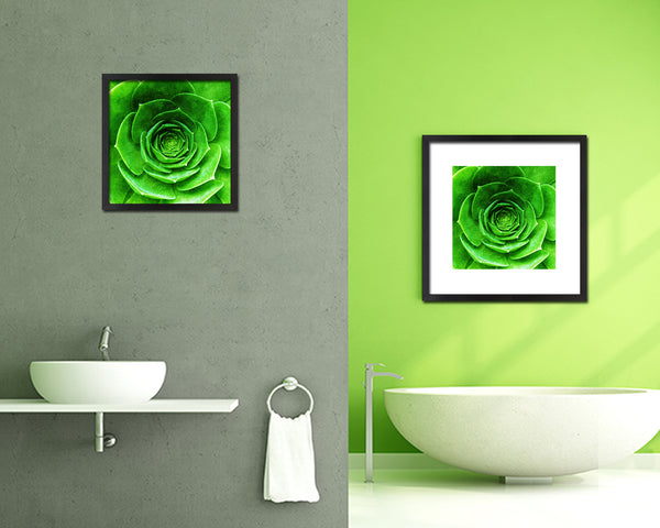 Green Succulent Plants Evergreen Leaves Spiral Plant Wood Framed Print Decor Wall Art Gifts