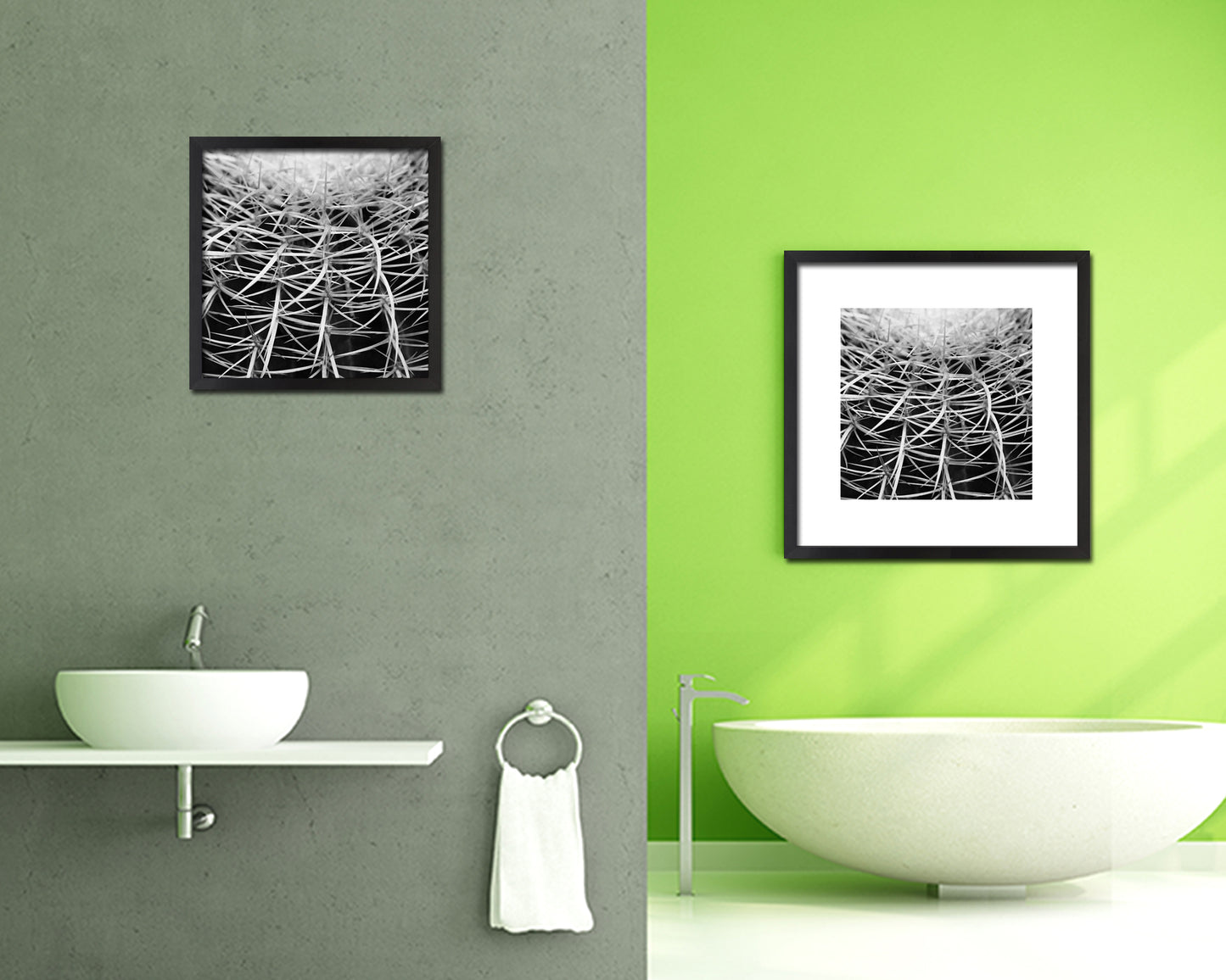 Golden Barrel Cactus B &W Succulent Leaves Spiral Plant Wood Framed Print Decor Wall Art Gifts