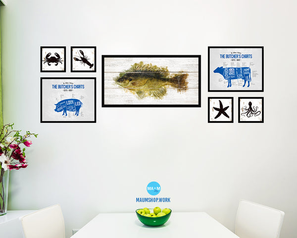 Bluegill Fish Art Wood Framed White Wash Restaurant Sushi Wall Decor Gifts, 10" x 20"