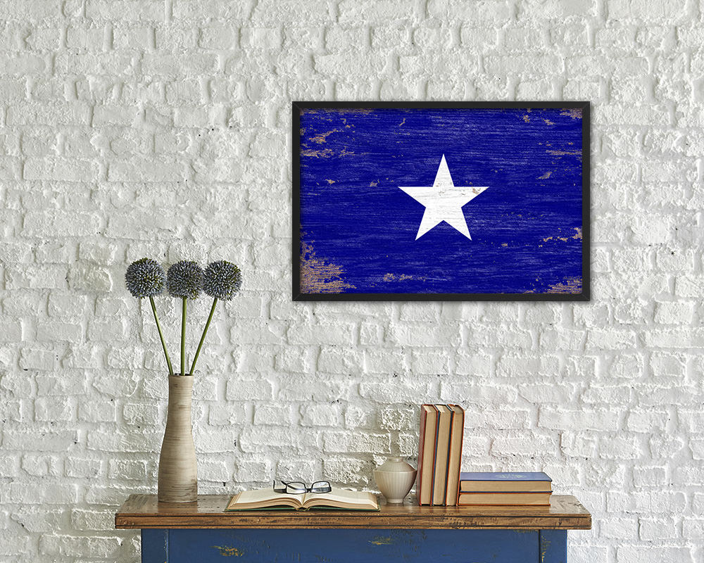 Bonnie Blue in Republic of West Florida Shabby Chic Military Flag Framed Print Art