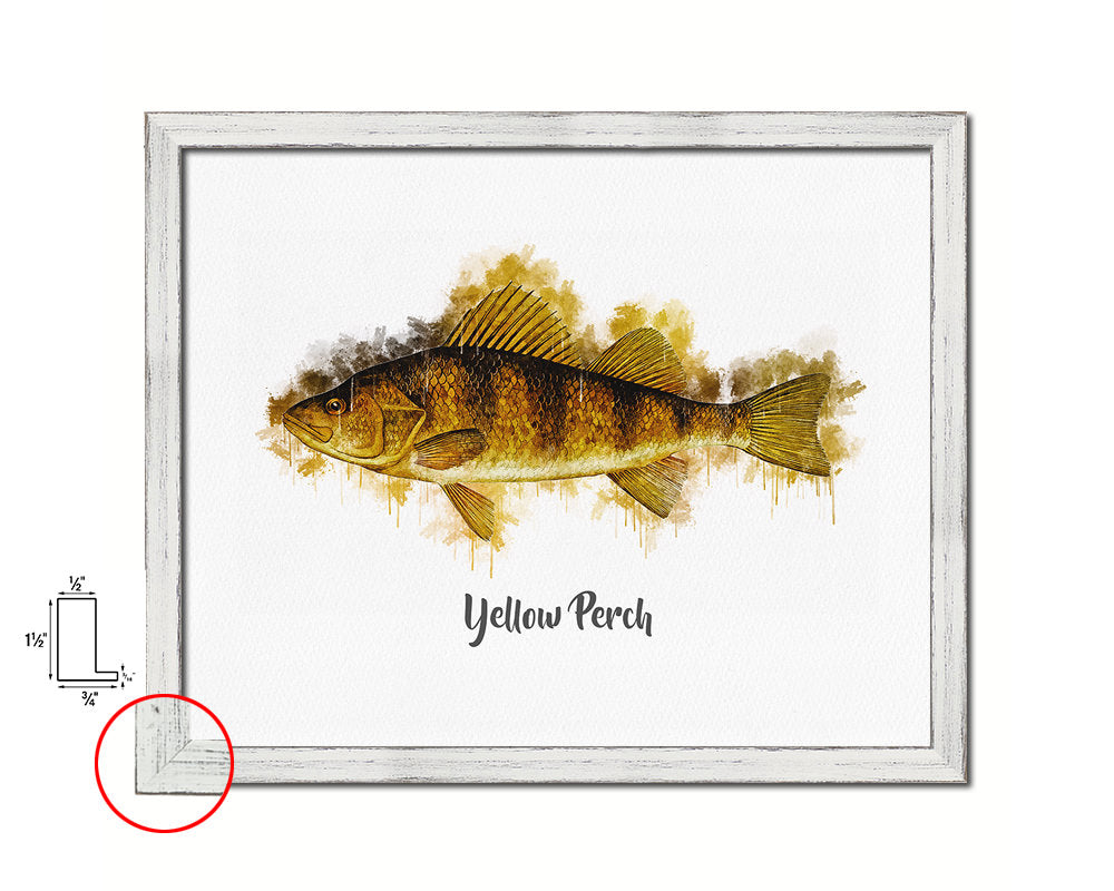 Yellow Perch Fish Framed Prints Modern Restaurant Sushi Bar Watercolor Wall Art Decor