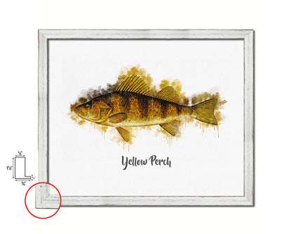 Yellow Perch Fish Framed Prints Modern Restaurant Sushi Bar Watercolor Wall Art Decor