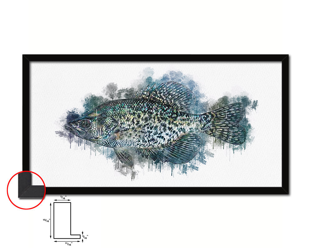 Black Crappie Fish Art Wood Frame Modern Restaurant Sushi Wall Decor Gifts, 10" x 20"