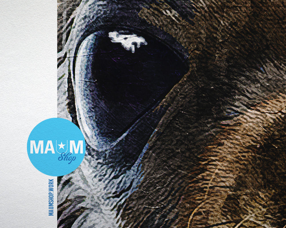 Sea Lion Animal Painting Print Framed Art Home Wall Decor Gifts