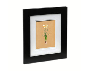 Narcissus Cheerfulness Colorful Plants Art Wood Framed Print Wall Decor Gifts