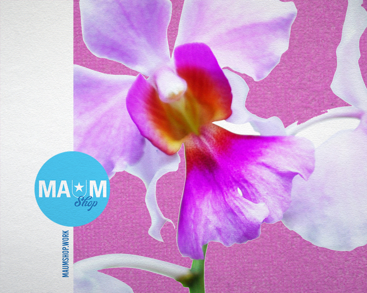 Vanda Miss Joaquim Colorful Plants Art Wood Framed Print Wall Decor Gifts