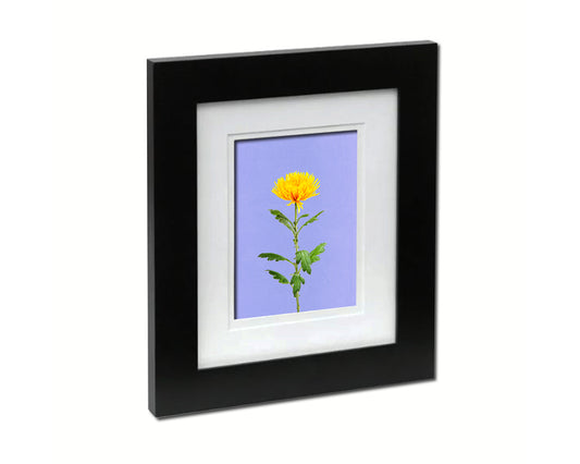 Yellow Chrysanthemum Flower Colorful Plants Art Wood Framed Print Wall Decor Gifts