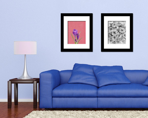 Purple Crocus Spring Colorful Plants Art Wood Framed Print Wall Decor Gifts