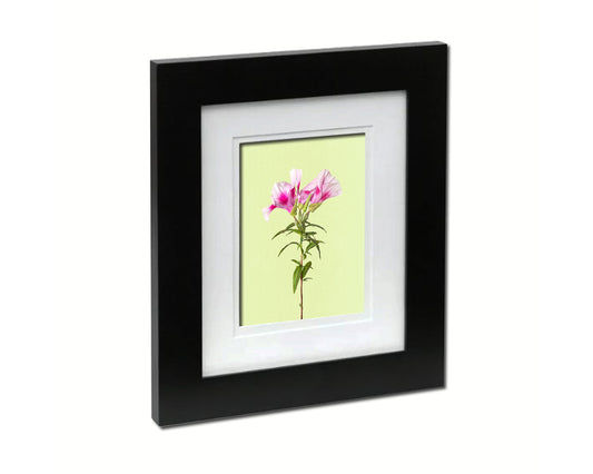 Godetia Colorful Plants Art Wood Framed Print Wall Decor Gifts