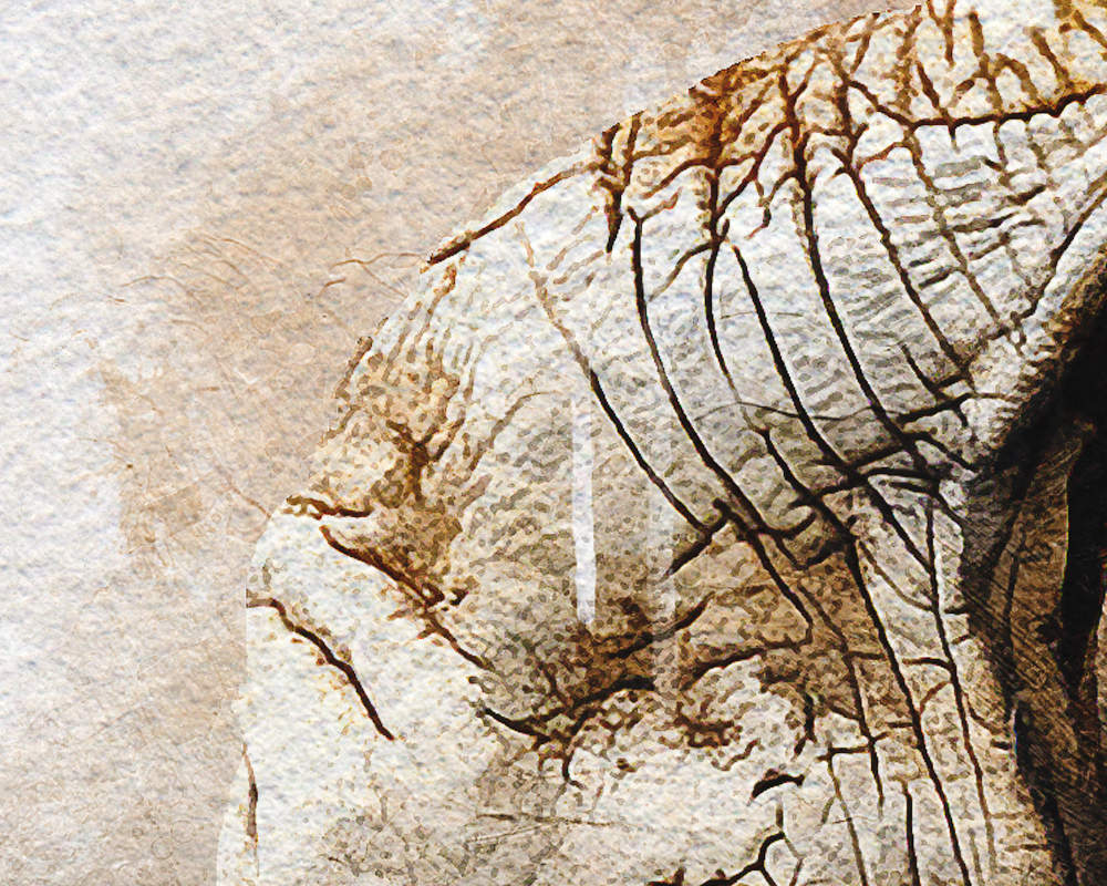 Elephant Animal Painting Print Framed Art Home Wall Decor Gifts