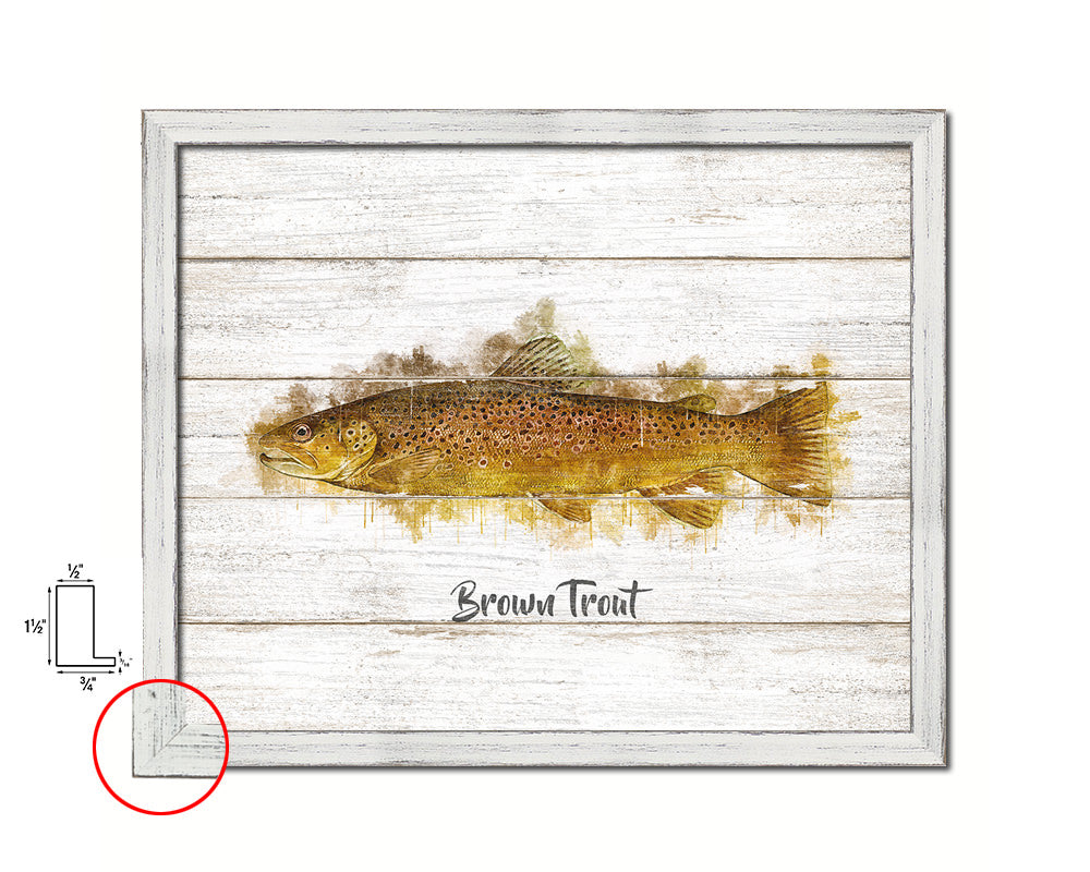 Brown Trout Fish Framed Prints Modern Restaurant Sushi Bar Watercolor Wall Art Decor