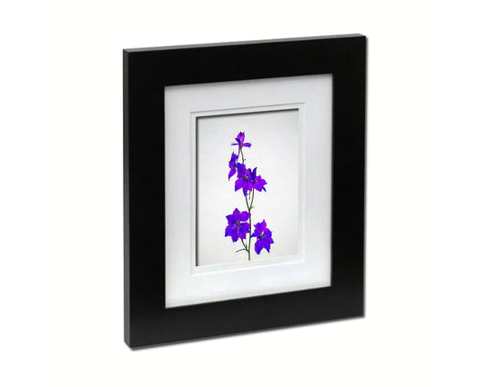 Lilac Sketch Plants Art Wood Framed Print Wall Decor Gifts