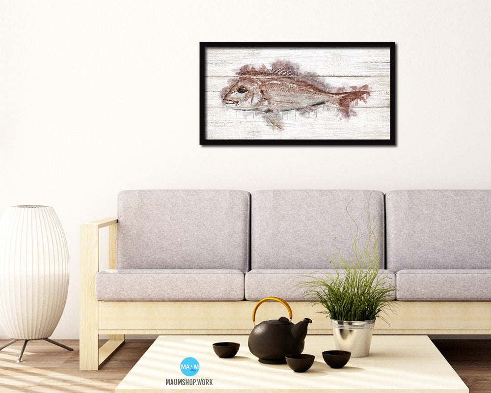Snapper Fish Art Wood Framed White Wash Restaurant Sushi Wall Decor Gifts, 10" x 20"