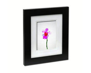 Vanda Miss Joaquim National Orchid Sketch Plants Art Wood Framed Print Wall Decor Gifts