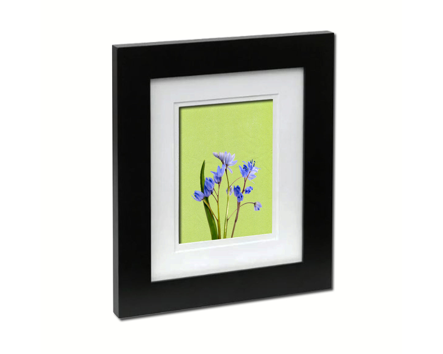 Blue Crocus Spring Colorful Plants Art Wood Framed Print Wall Decor Gifts