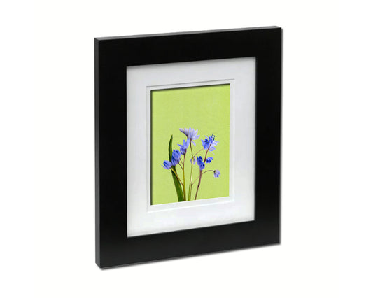 Blue Crocus Spring Colorful Plants Art Wood Framed Print Wall Decor Gifts
