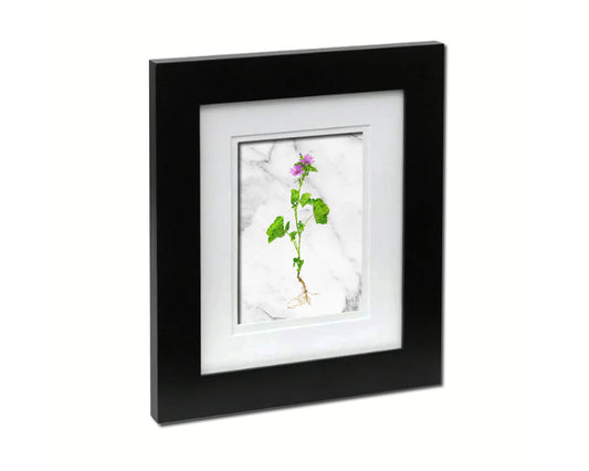 Malva Sylvestris Marble Texture Plants Art Wood Framed Print Wall Decor Gifts